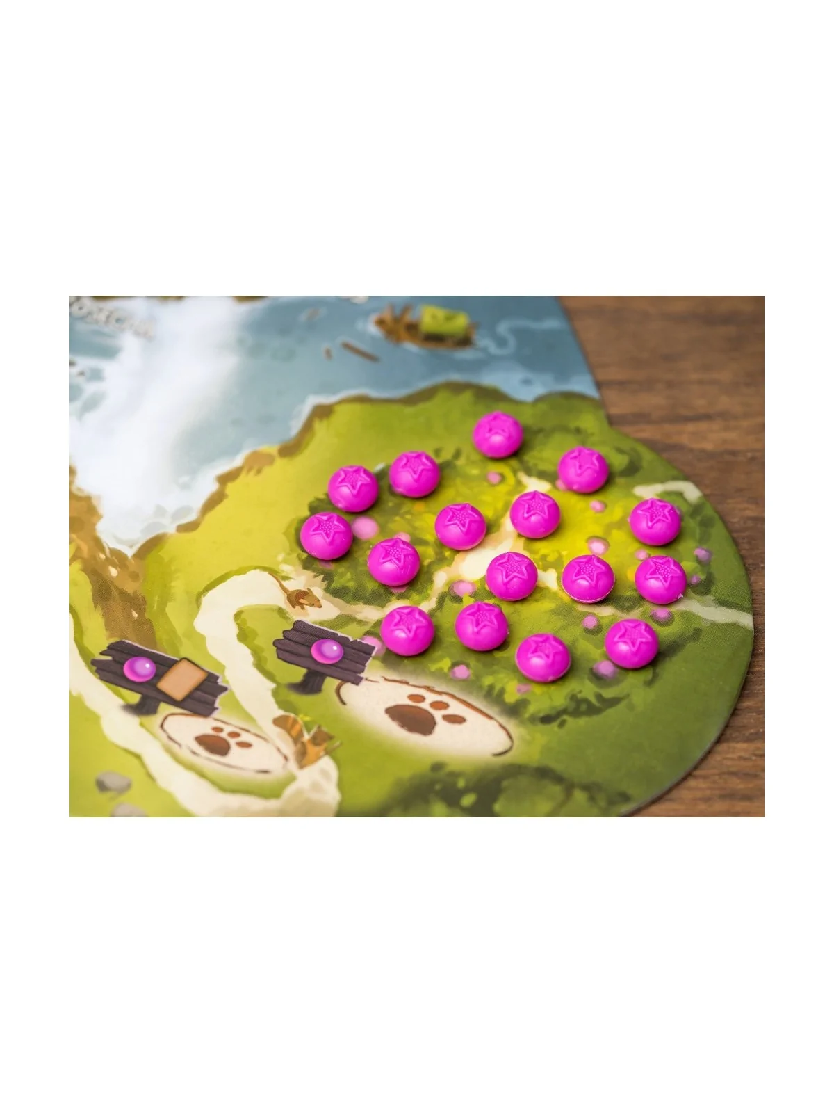 Everdell de Maldito Games en Juegos de Tablero | La Cueva Roja