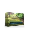 Mythwind: Expanded Horizons de Bumble3ee en Juegos de Tablero | La Cueva Roja